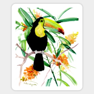 Toucan in Jungle Sticker